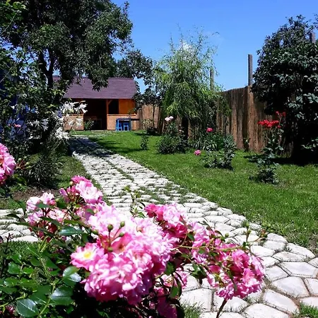 Vakantiehuis Casa Pavel *
