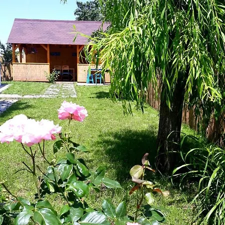 Casa Pavel