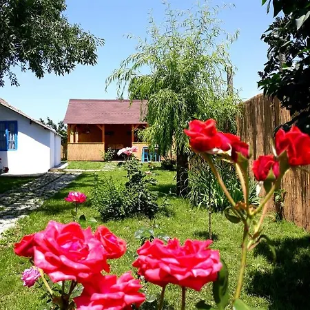 Casa Pavel 茹里洛夫卡