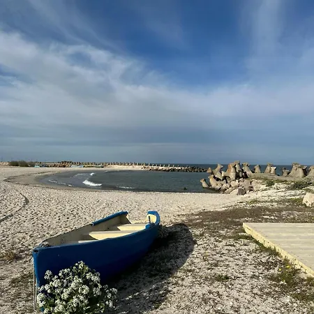 Casa Pavel Дом отдыха *