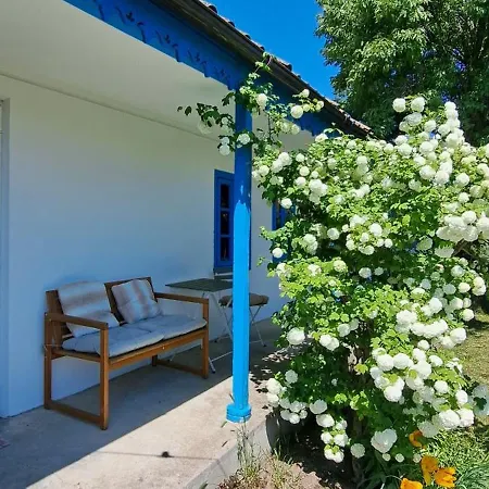 Casa Pavel Holiday home