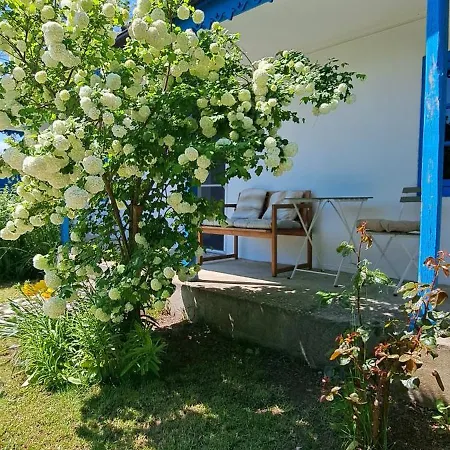 Holiday home Casa Pavel *